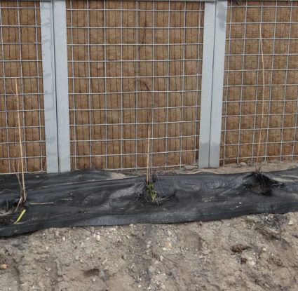 DSC01550-Copy-1030x773