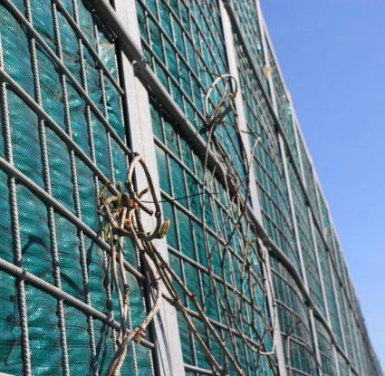 IMG_0065-Copy-1030x687