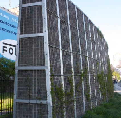 IMG_0381-kopia-Copy-687x1030